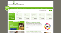 Desktop Screenshot of downsyndroom.nl